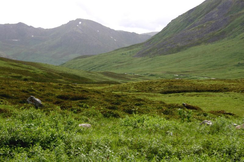 070404 Hope Hatcher Montana Creek (10165)